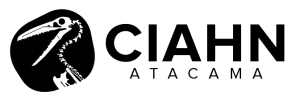 logo-chico-web-nuevo-11-11